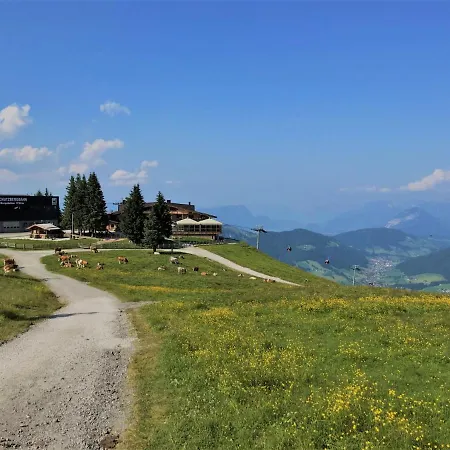 Holiday home Schwalbenhof - Wil330 By Interhome