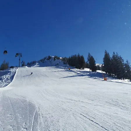 Schwalbenhof By Interhome * Oberau